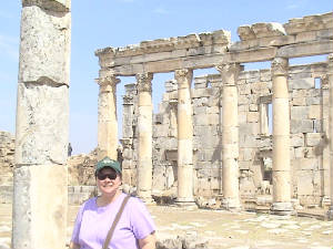 apamea.jpg